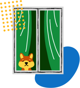 picture cat